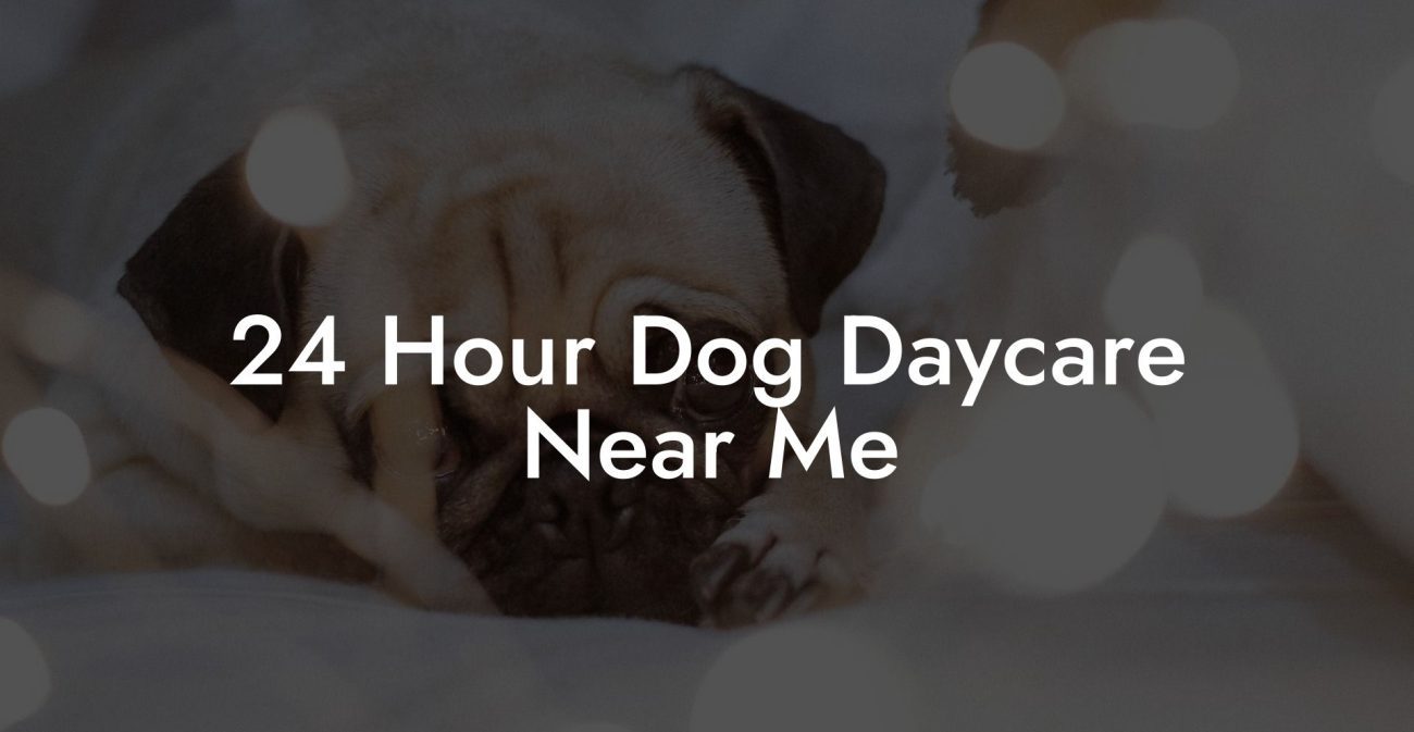 24-hour-dog-daycare-near-me-dig-dog-hotels-1300x673.jpg