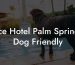 Ace Hotel Palm Springs Dog Friendly