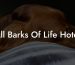 All Barks Of Life Hotel