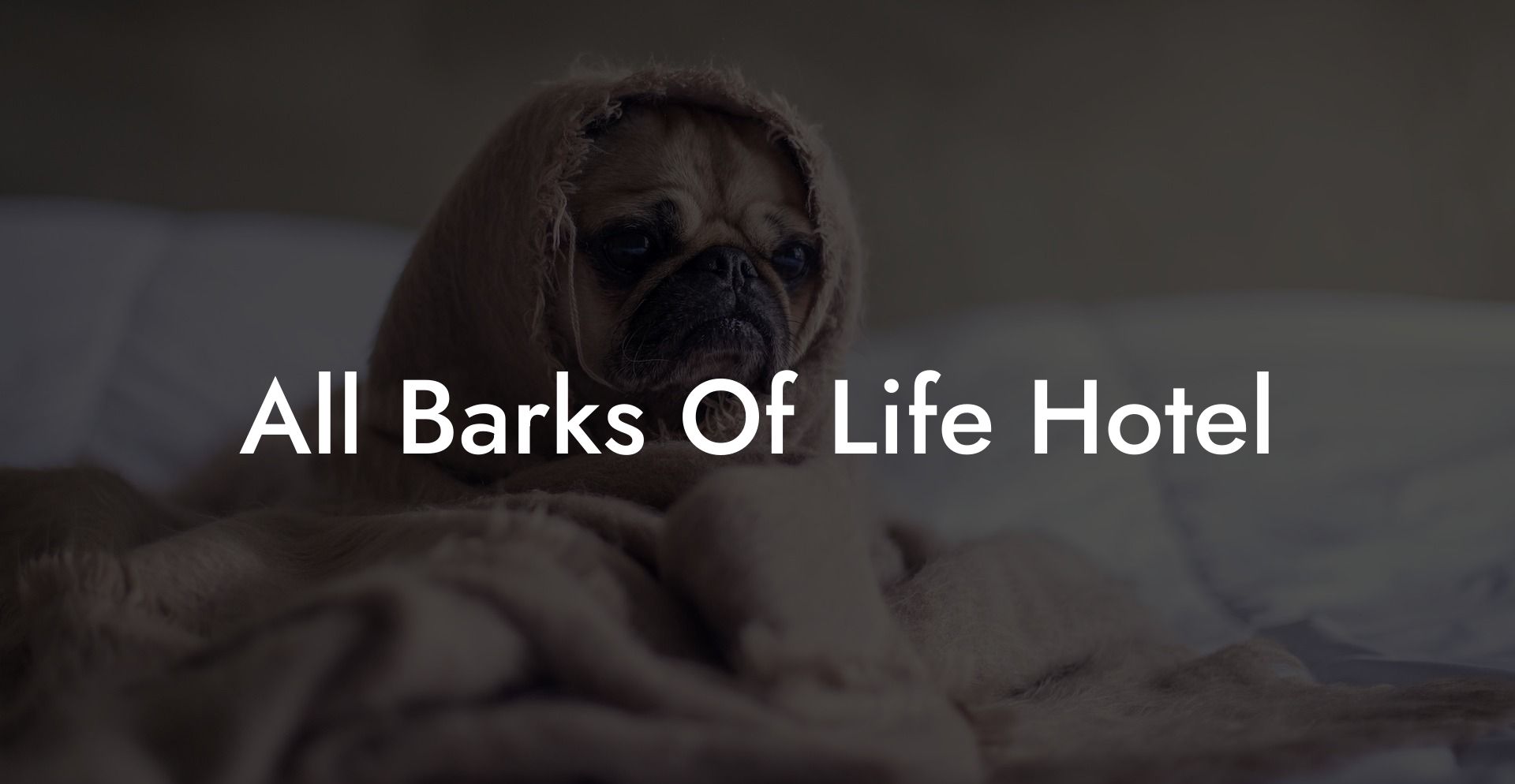 All Barks Of Life Hotel