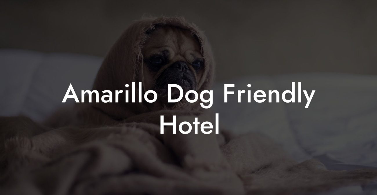 Amarillo Dog Friendly Hotel