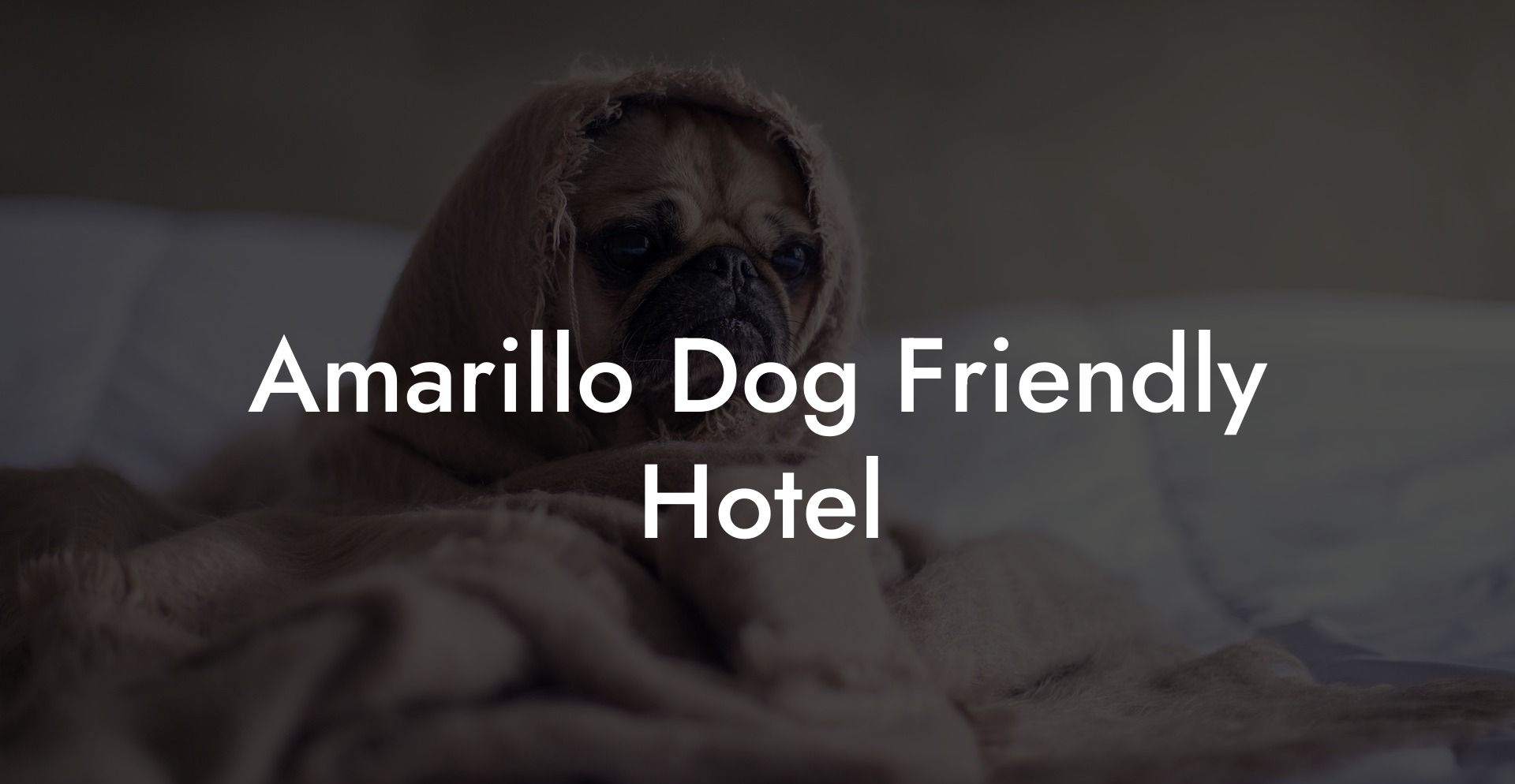 Amarillo Dog Friendly Hotel