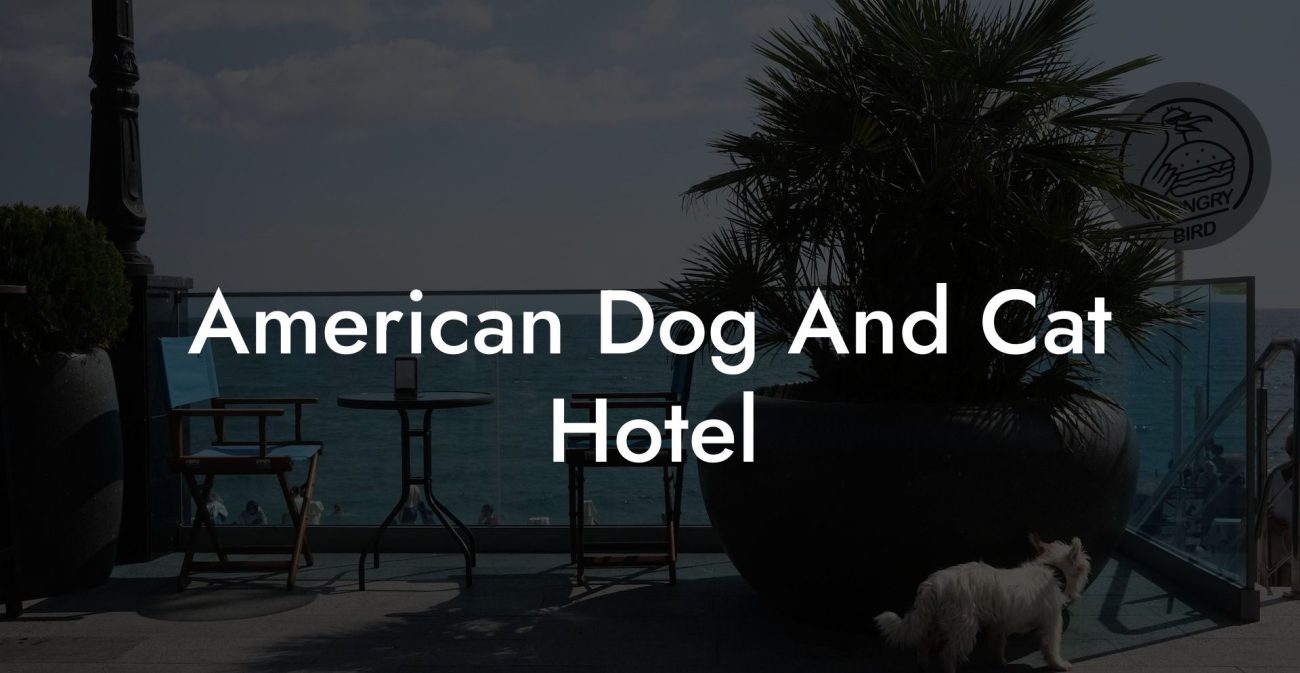 American Dog And Cat Hotel