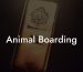Animal Boarding