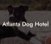 Atlanta Dog Hotel