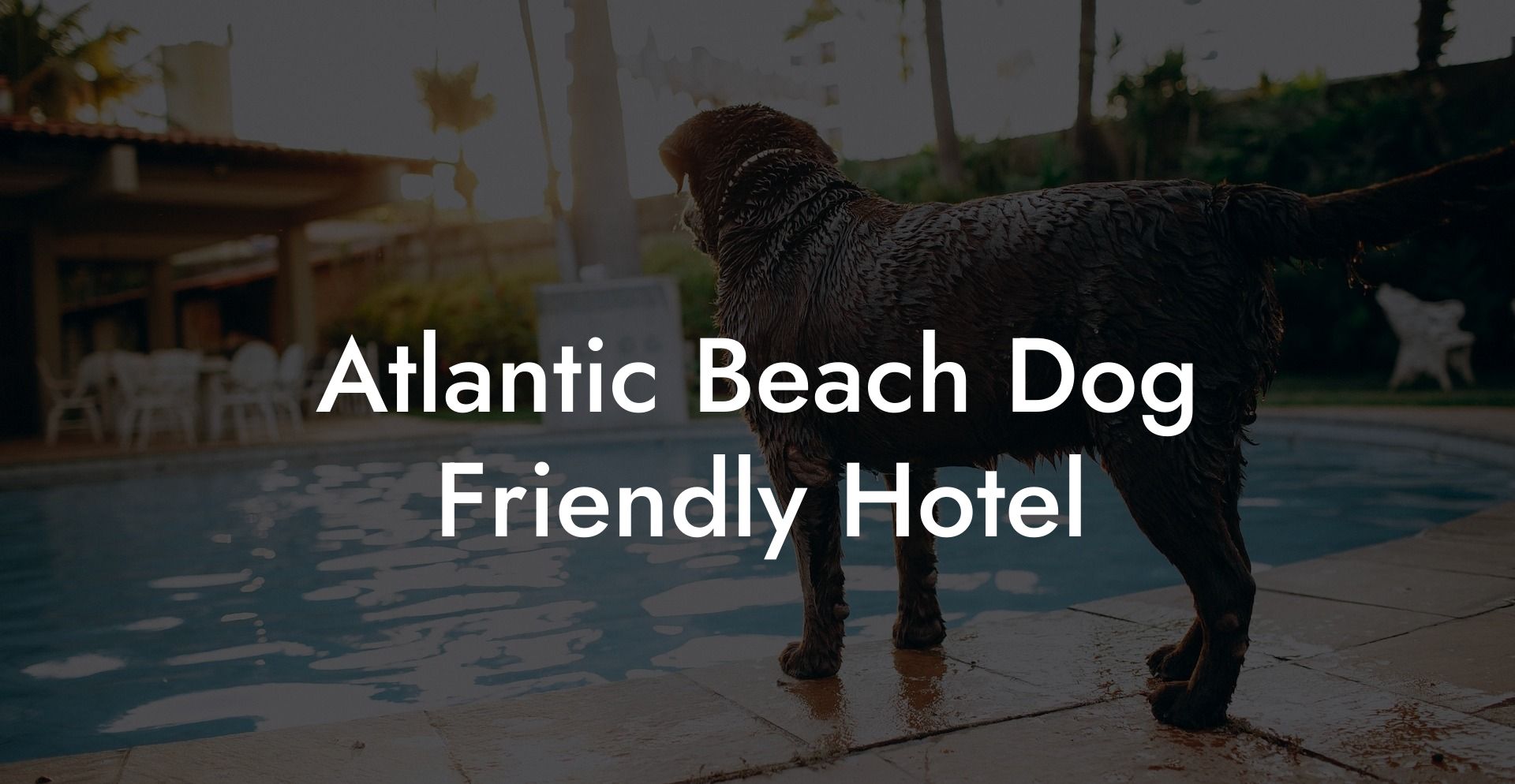 Atlantic Beach Dog Friendly Hotel