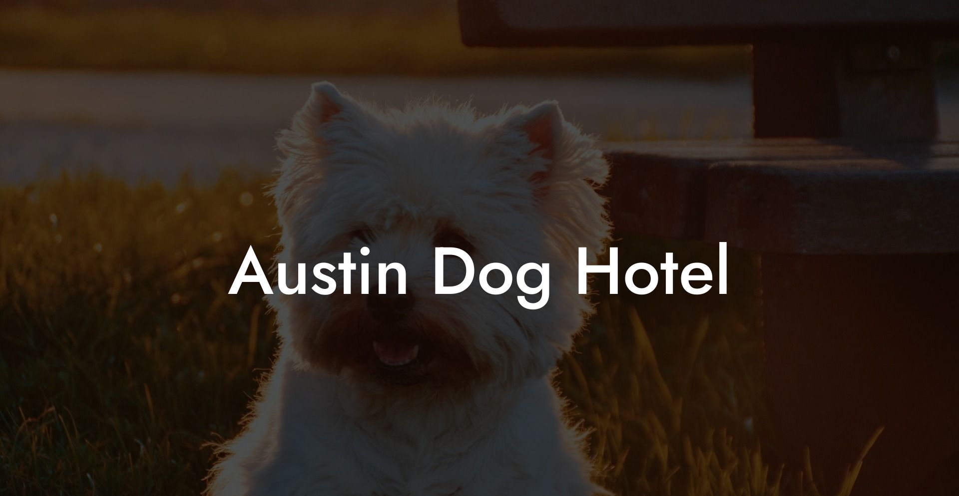 Austin Dog Hotel