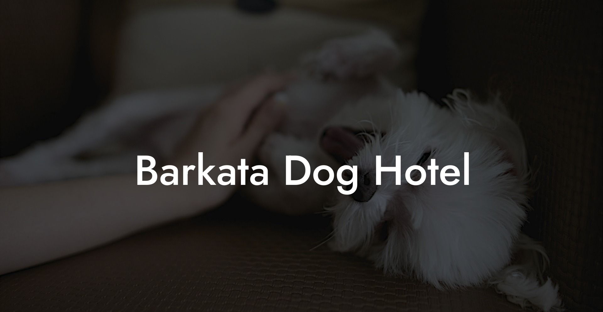 Barkata Dog Hotel