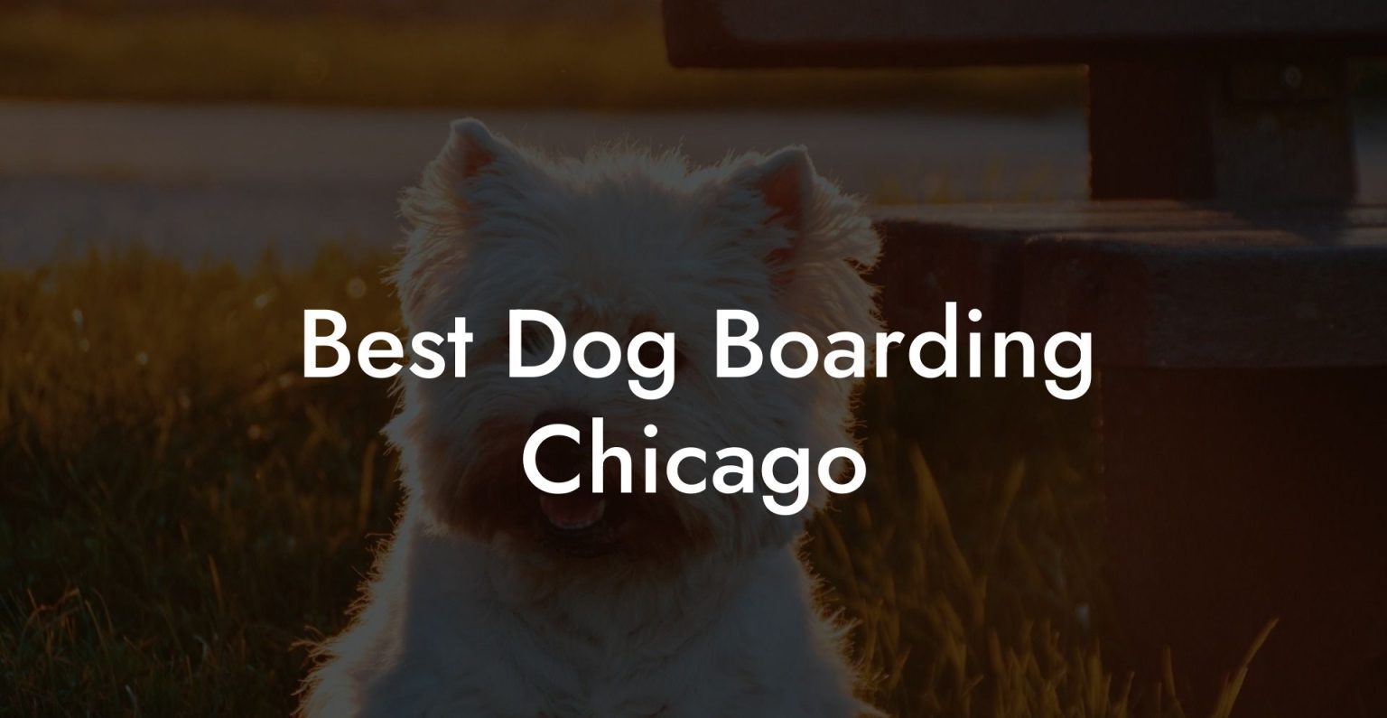Best Dog Boarding Chicago Dog Hotels