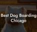 Best Dog Boarding Chicago
