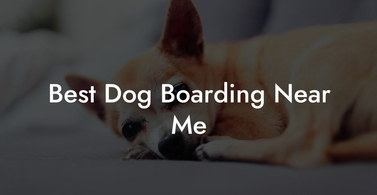 Best Dog Boarding Near Me