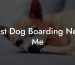 Best Dog Boarding Near Me
