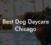 Best Dog Daycare Chicago