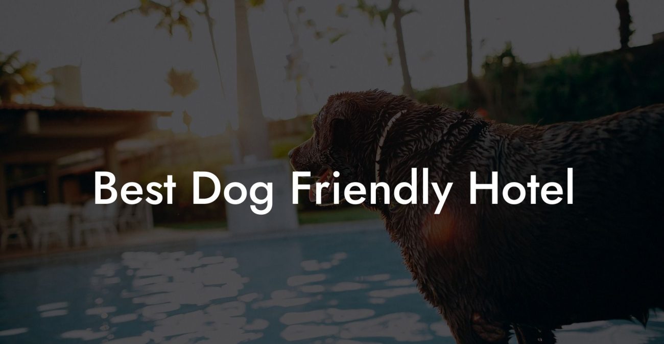 Best Dog Friendly Hotel