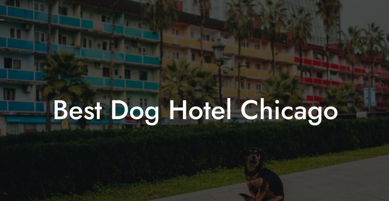 Best Dog Hotel Chicago