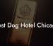 Best Dog Hotel Chicago