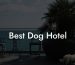 Best Dog Hotel