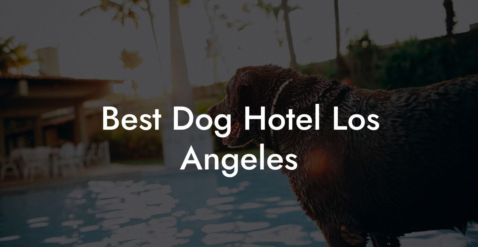Best Dog Hotel Los Angeles Dog Hotels