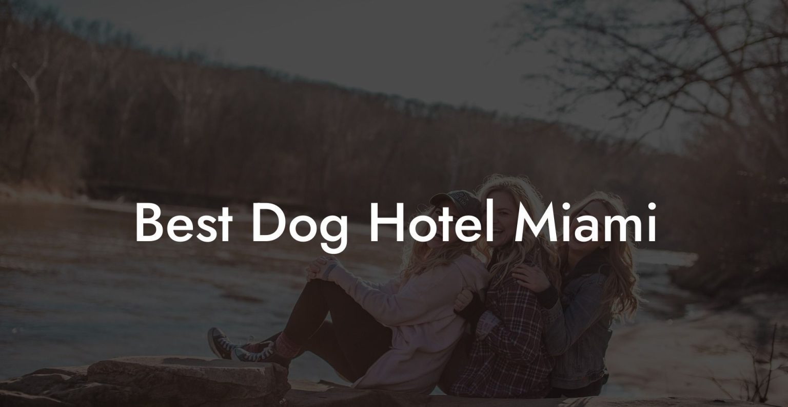 Best Dog Hotel Miami Dog Hotels