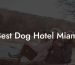 Best Dog Hotel Miami