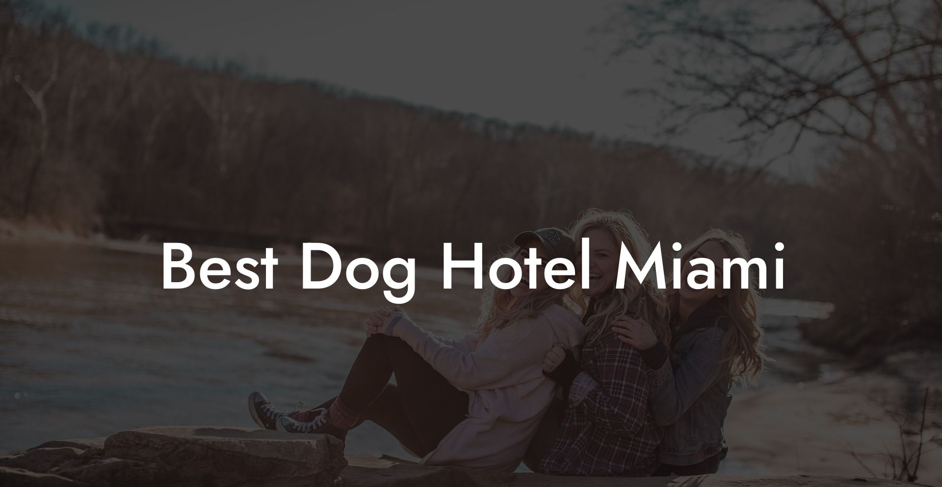 Best Dog Hotel Miami