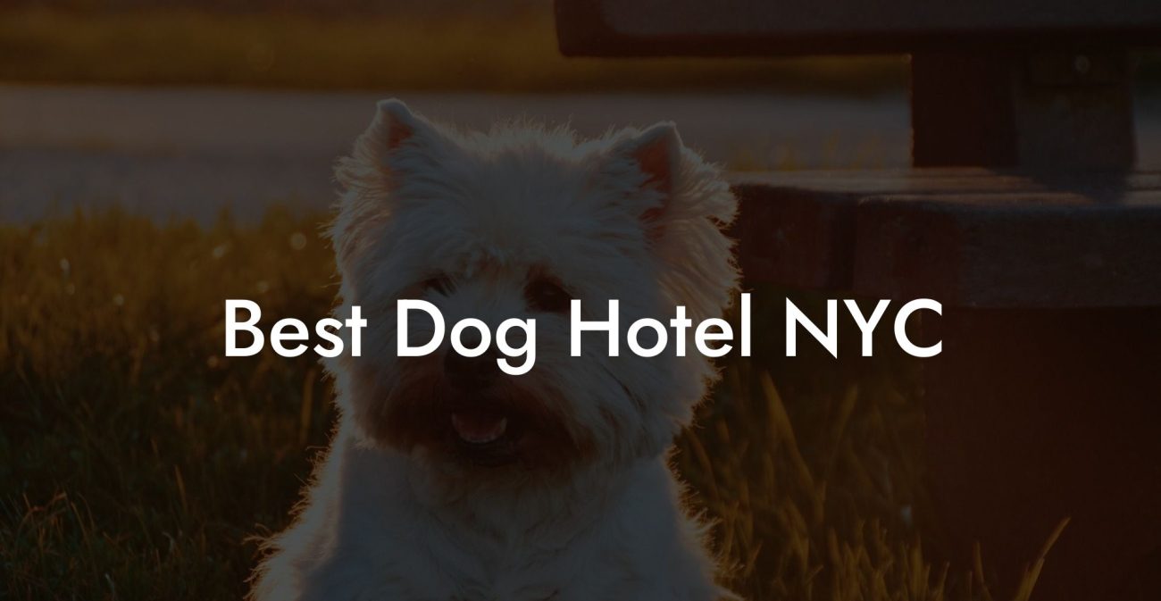 Best Dog Hotel NYC