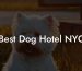Best Dog Hotel NYC
