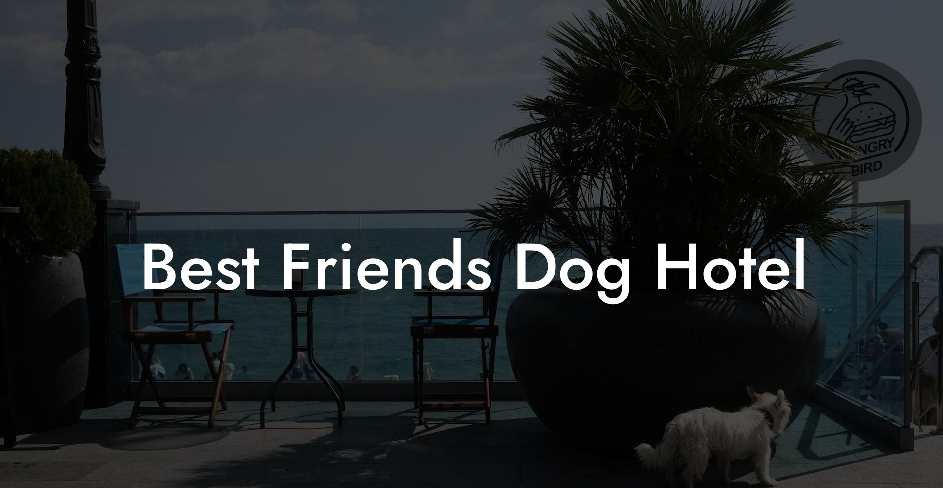 Best Friends Dog Hotel