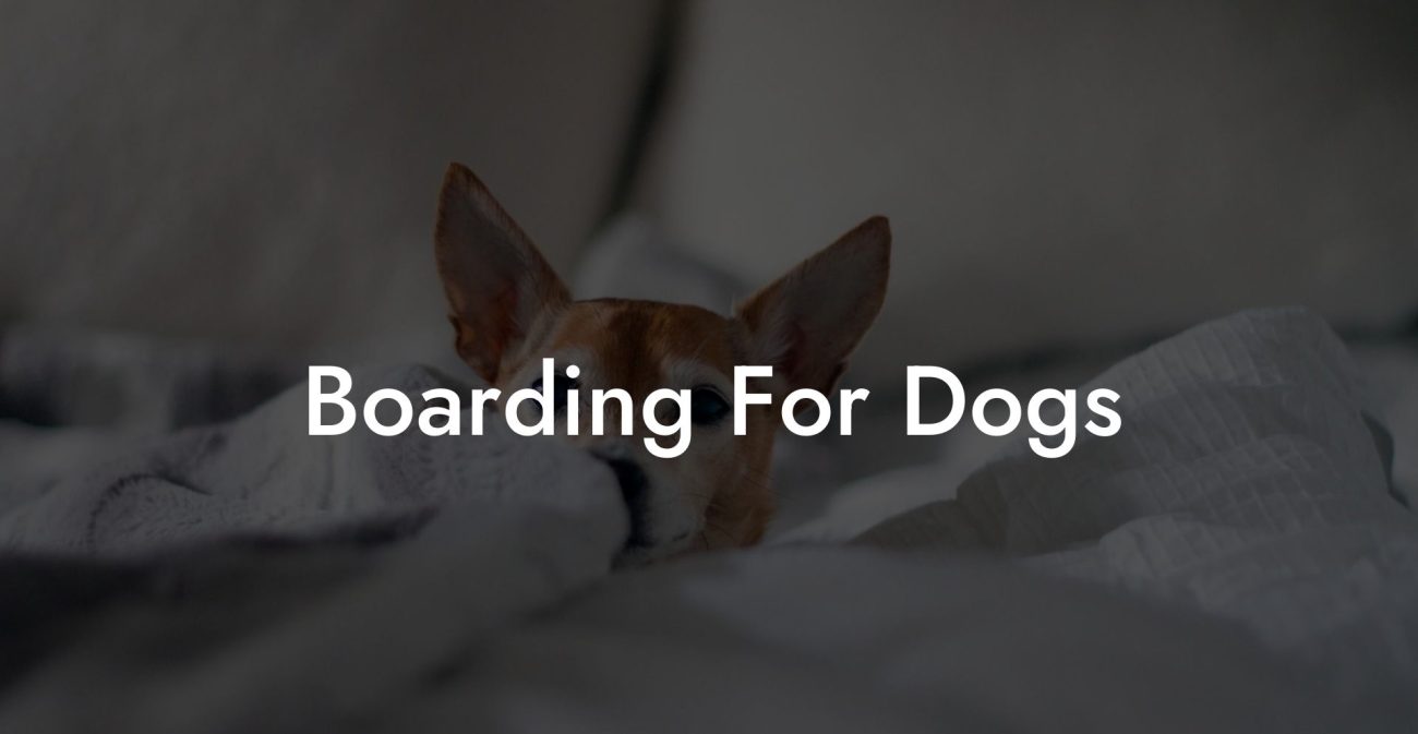 Boarding For Dogs