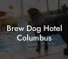 Brew Dog Hotel Columbus
