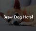 Brew Dog Hotel