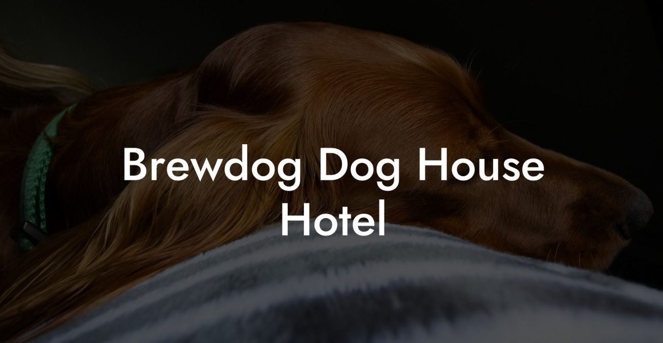 Brewdog Dog House Hotel