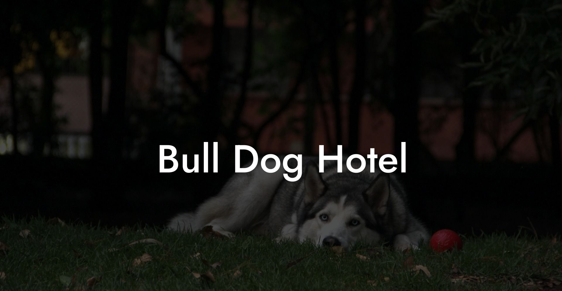 Bull Dog Hotel