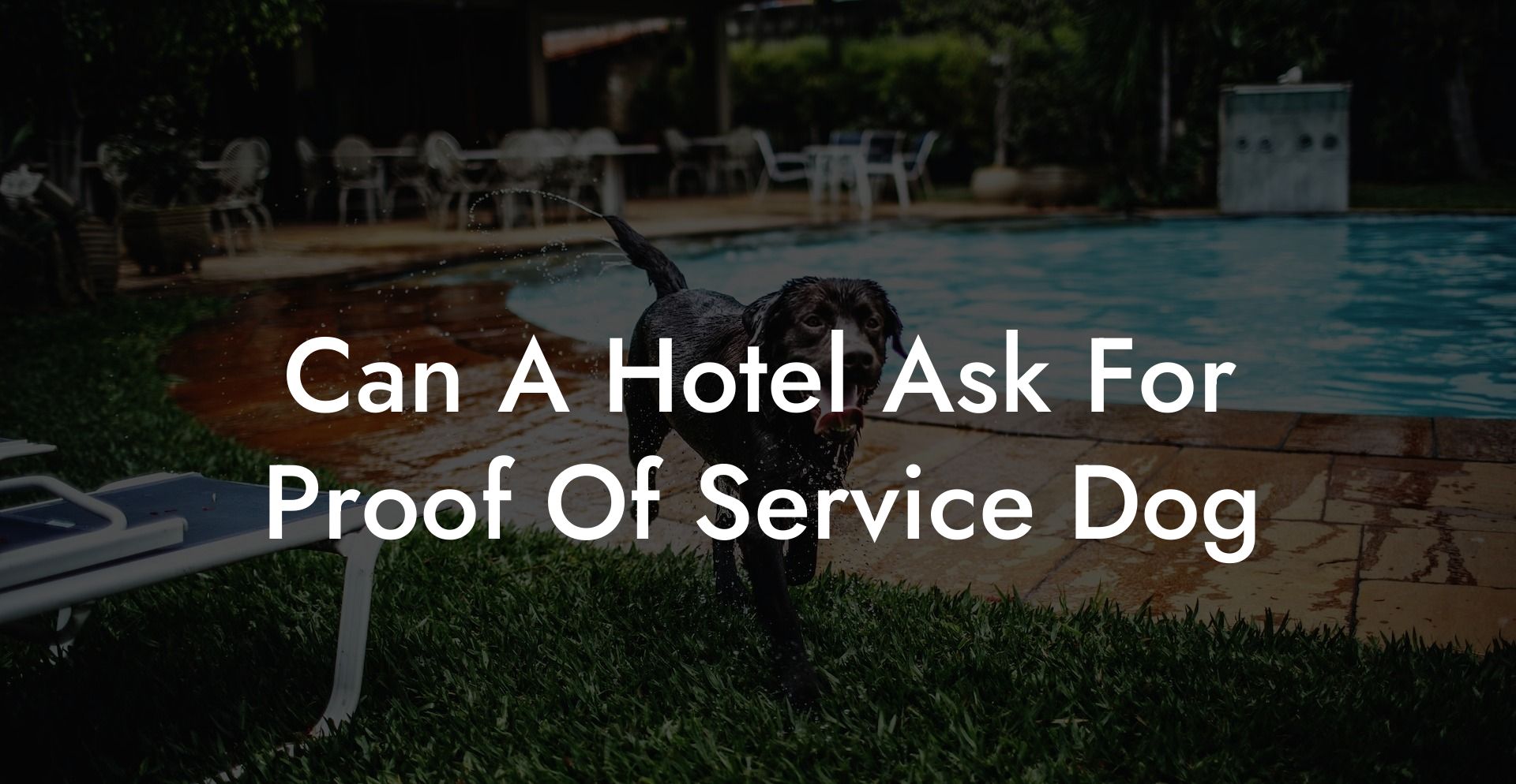 Can A Hotel Ask For Proof Of Service Dog