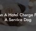 Can A Hotel Charge For A Service Dog