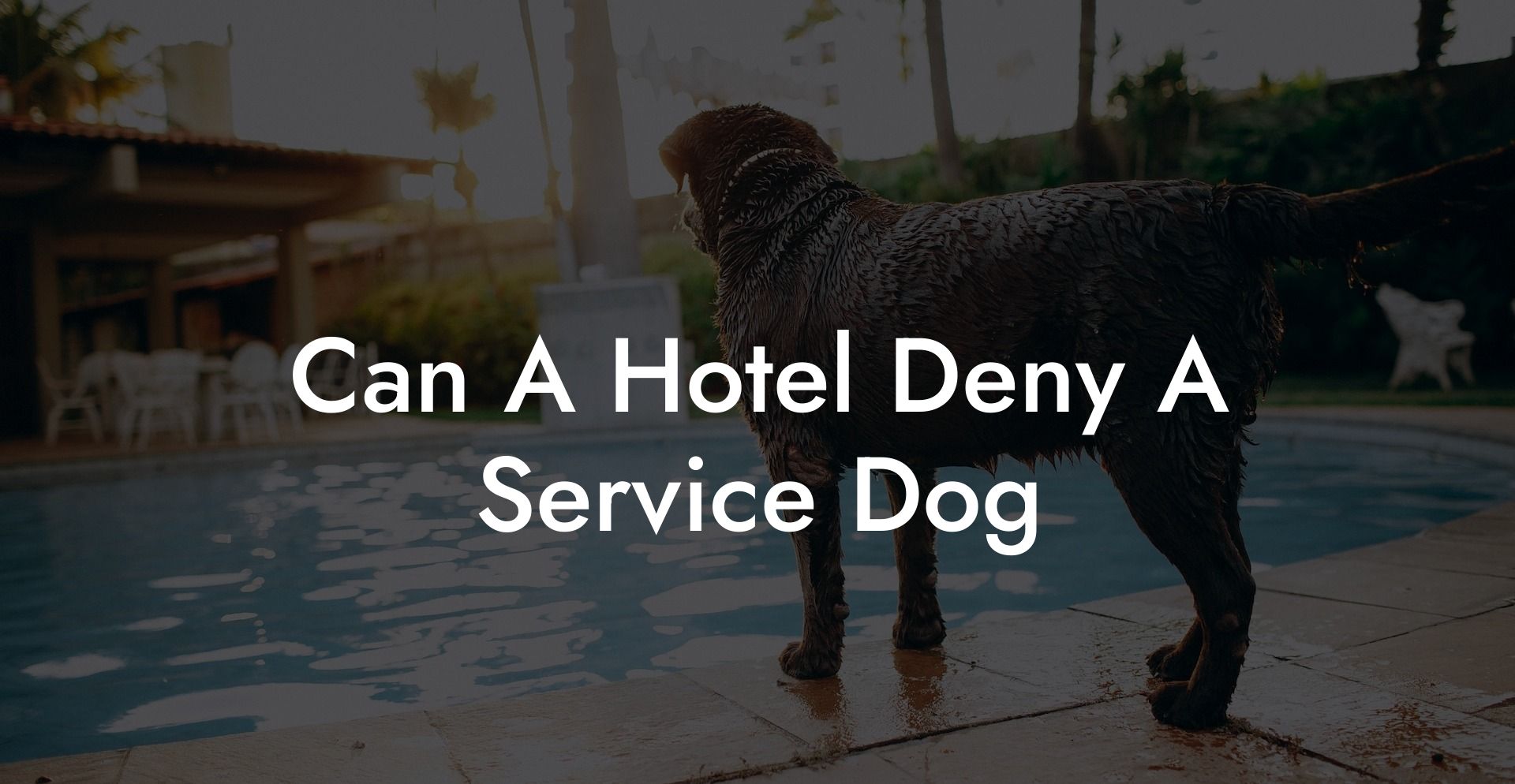 Can A Hotel Deny A Service Dog