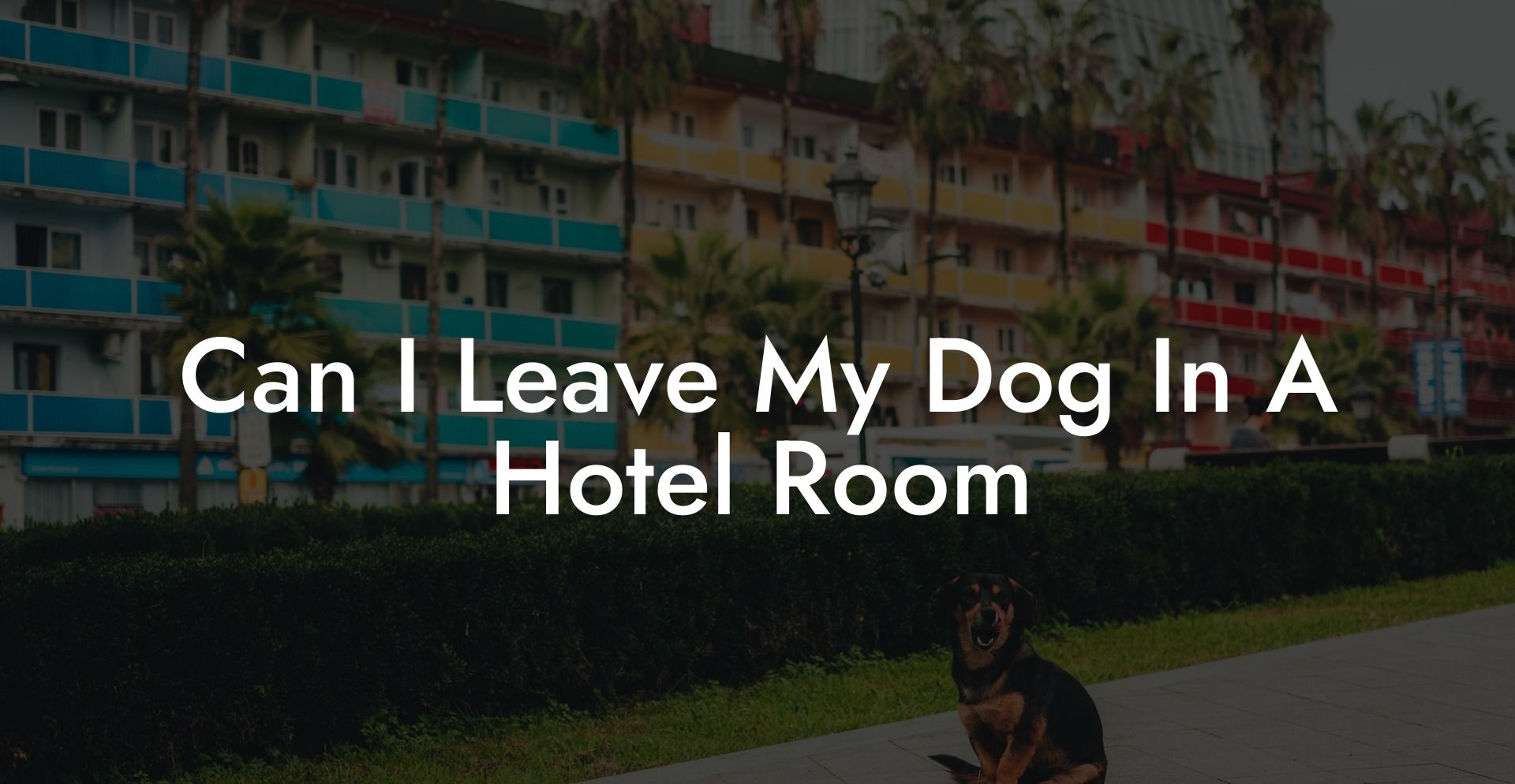Can I Leave My Dog In A Hotel Room