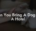 Can You Bring A Dog To A Hotel