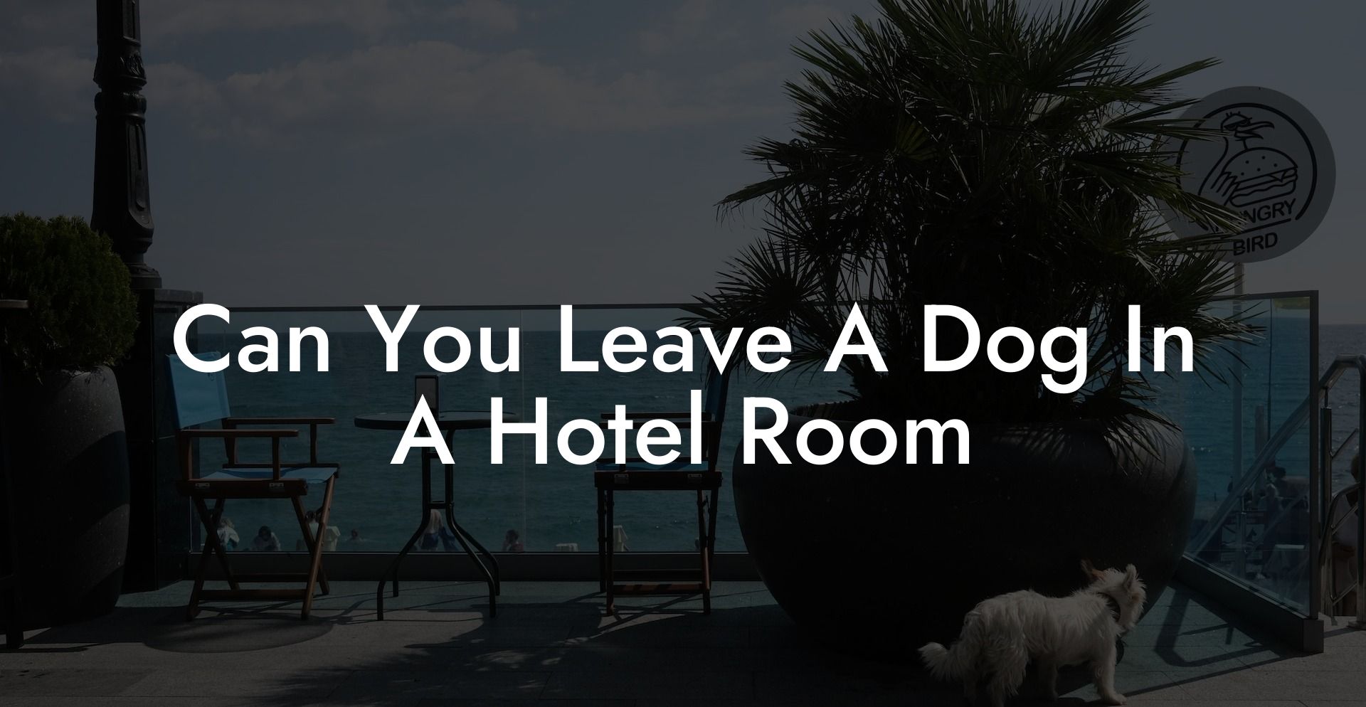 Can You Leave A Dog In A Hotel Room