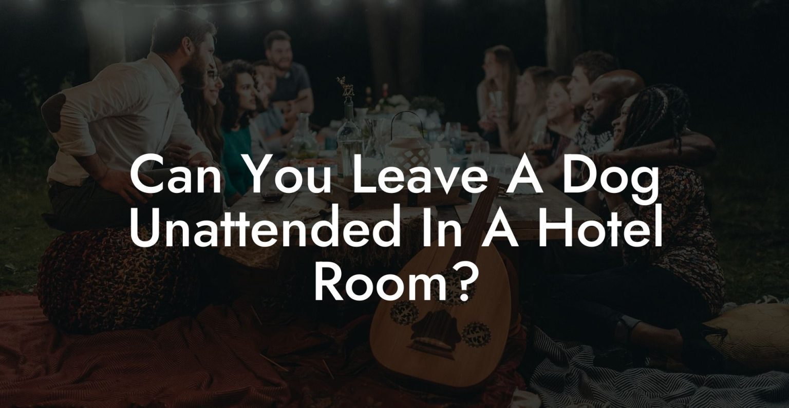Can You Leave A Dog Unattended In A Hotel Room? Dog Hotels