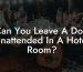 Can You Leave A Dog Unattended In A Hotel Room?