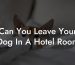 Can You Leave Your Dog In A Hotel Room