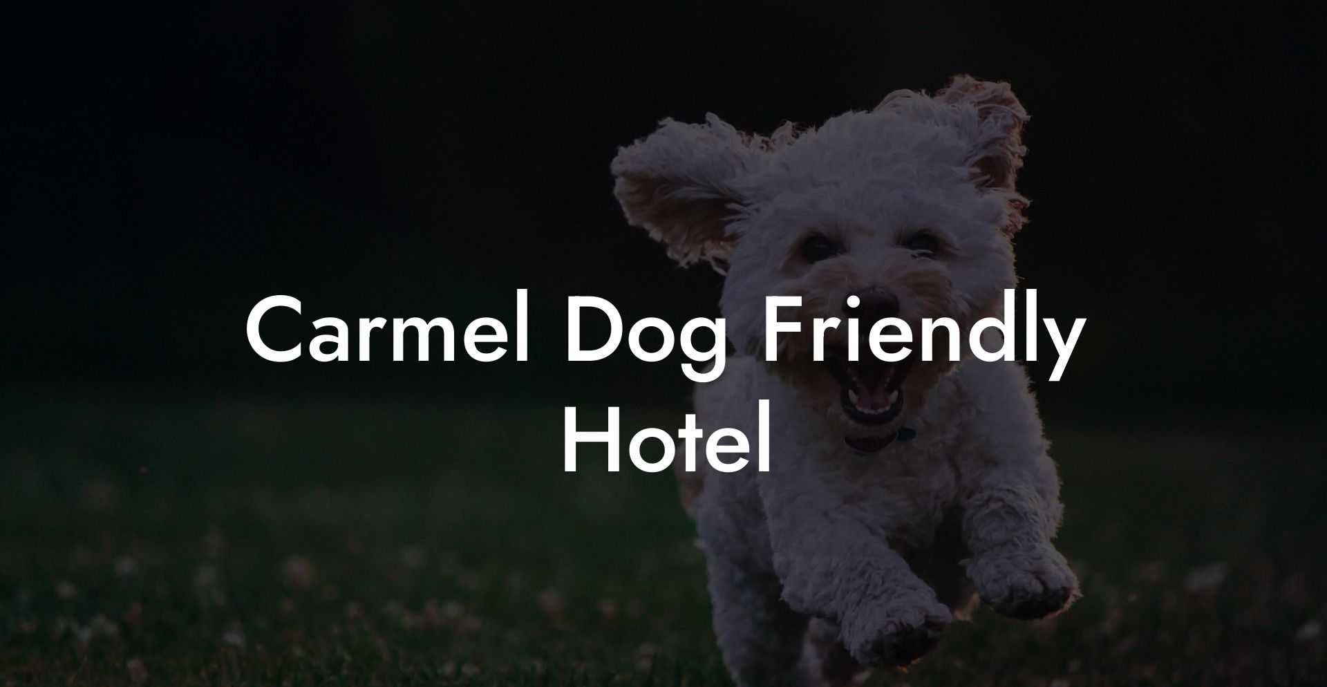 Carmel Dog Friendly Hotel