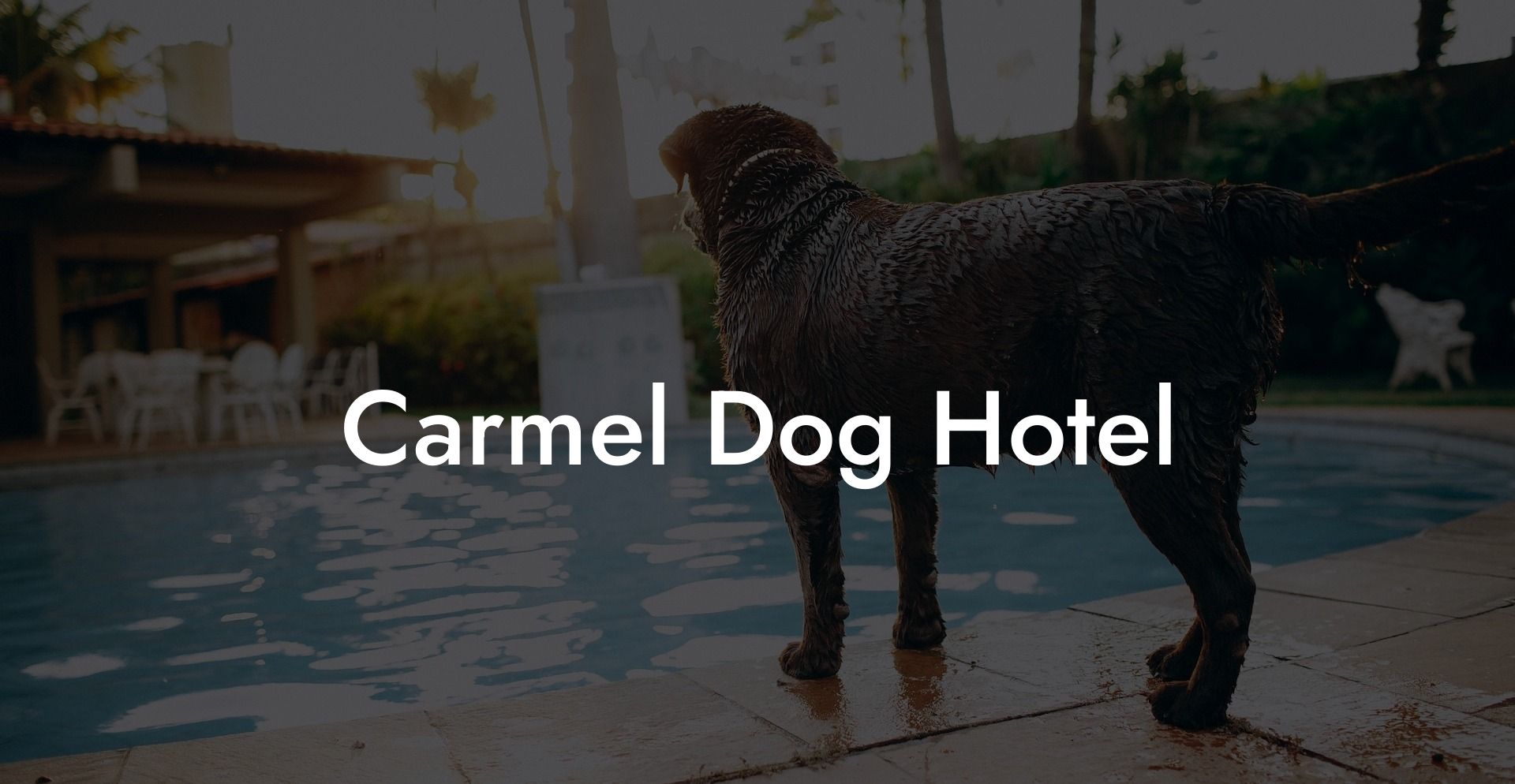 Carmel Dog Hotel