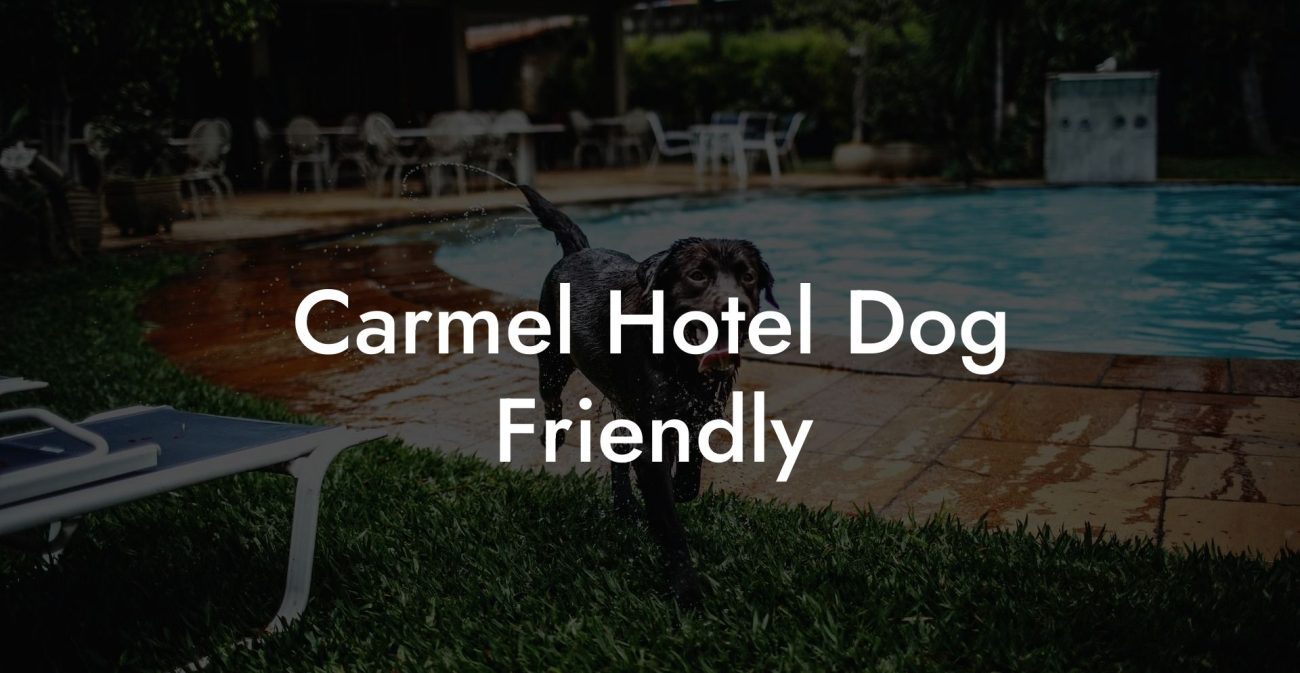 Carmel Hotel Dog Friendly