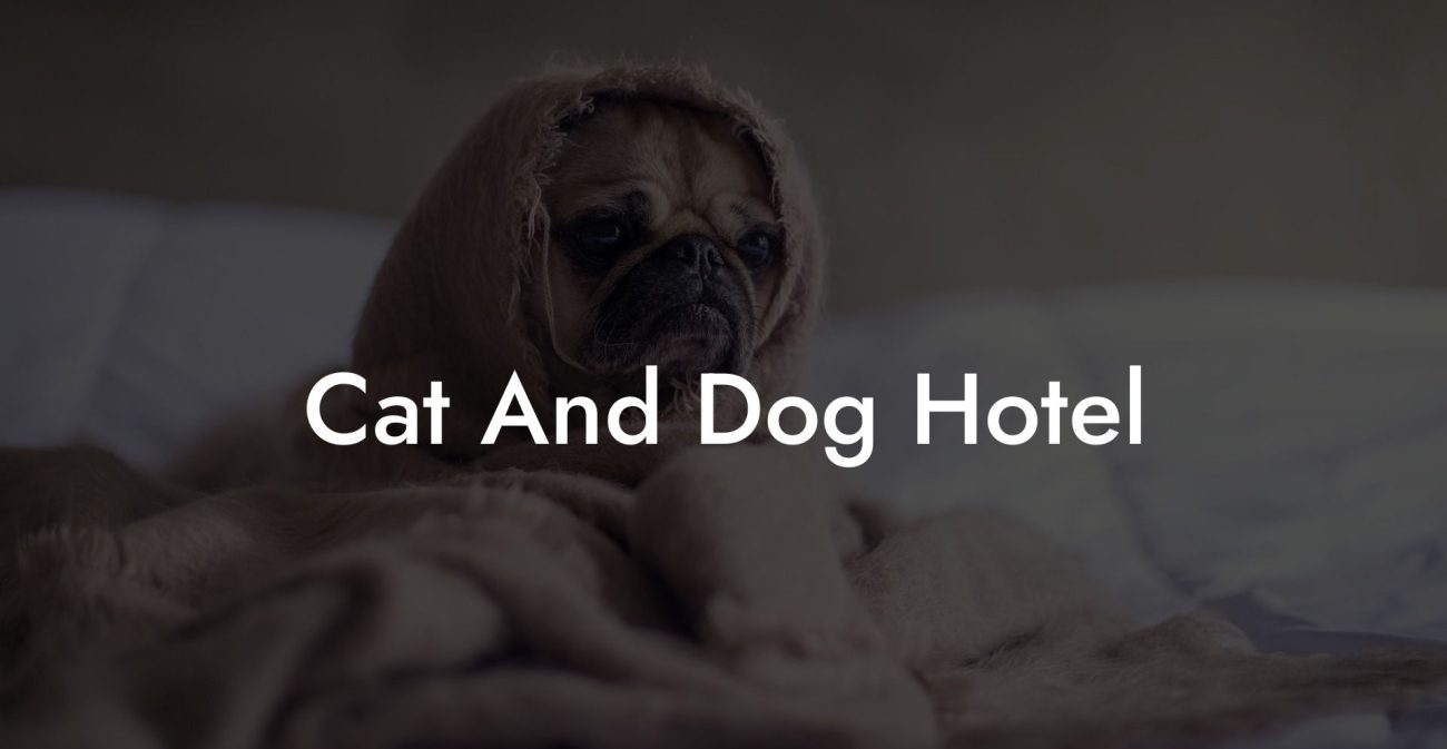 Cat And Dog Hotel