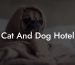 Cat And Dog Hotel