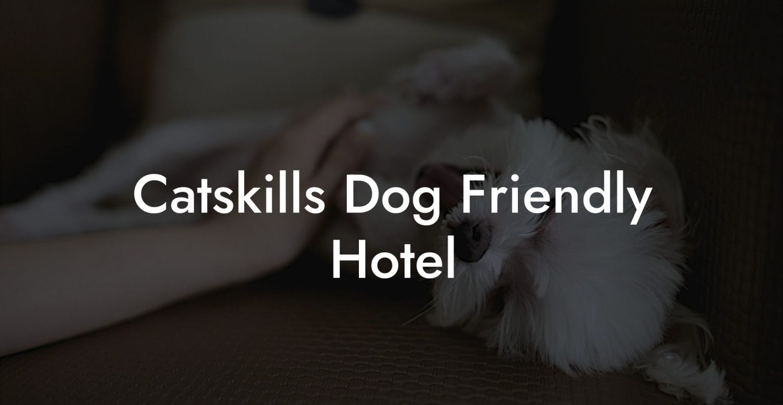 Catskills Dog Friendly Hotel Dog Hotels