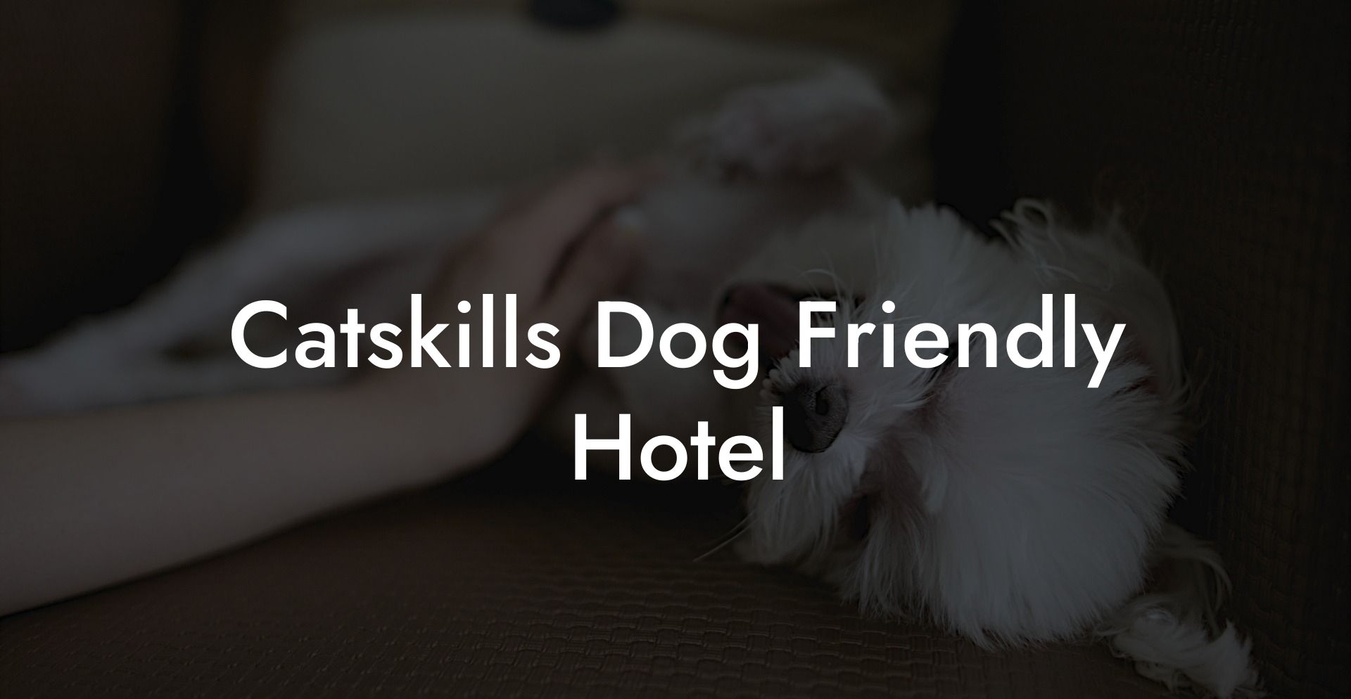 Catskills Dog Friendly Hotel
