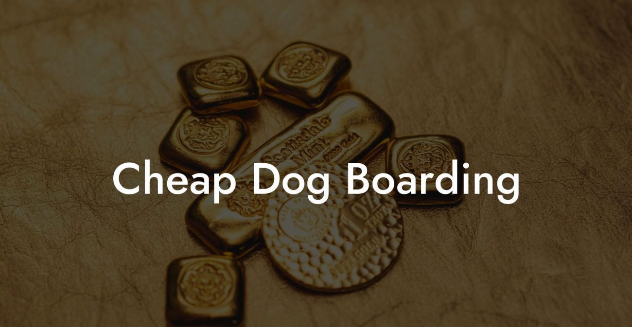 Cheap Dog Boarding